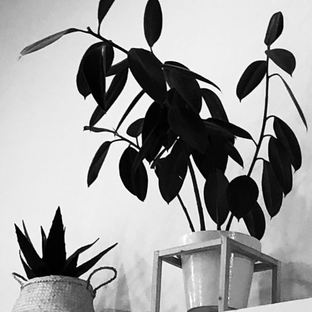 Meet your Posher, Karey